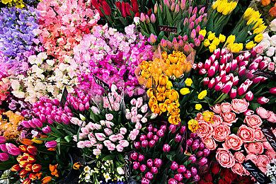 《灵魂骇客2》“才藏”角色PV公布 8月25日发售