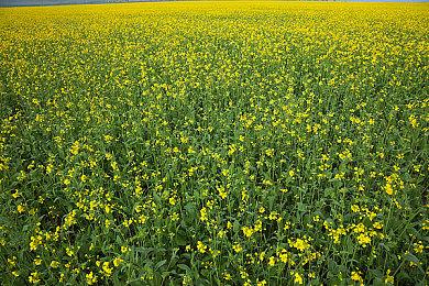 PS商城春季特卖首弹活动开启 多款名作最大80%优惠